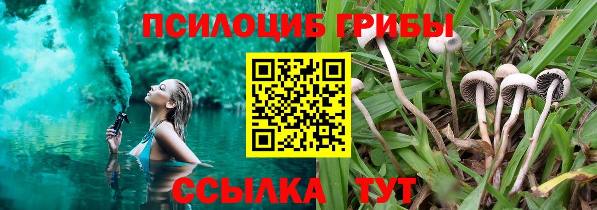 Псилоцибиновые грибы прущие грибы  Галлюциногенные грибы Cubensis  Топки  Вход с VPN 